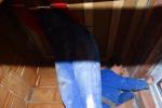 2015 01 18 Rigipsen und Innenarbeiten 22